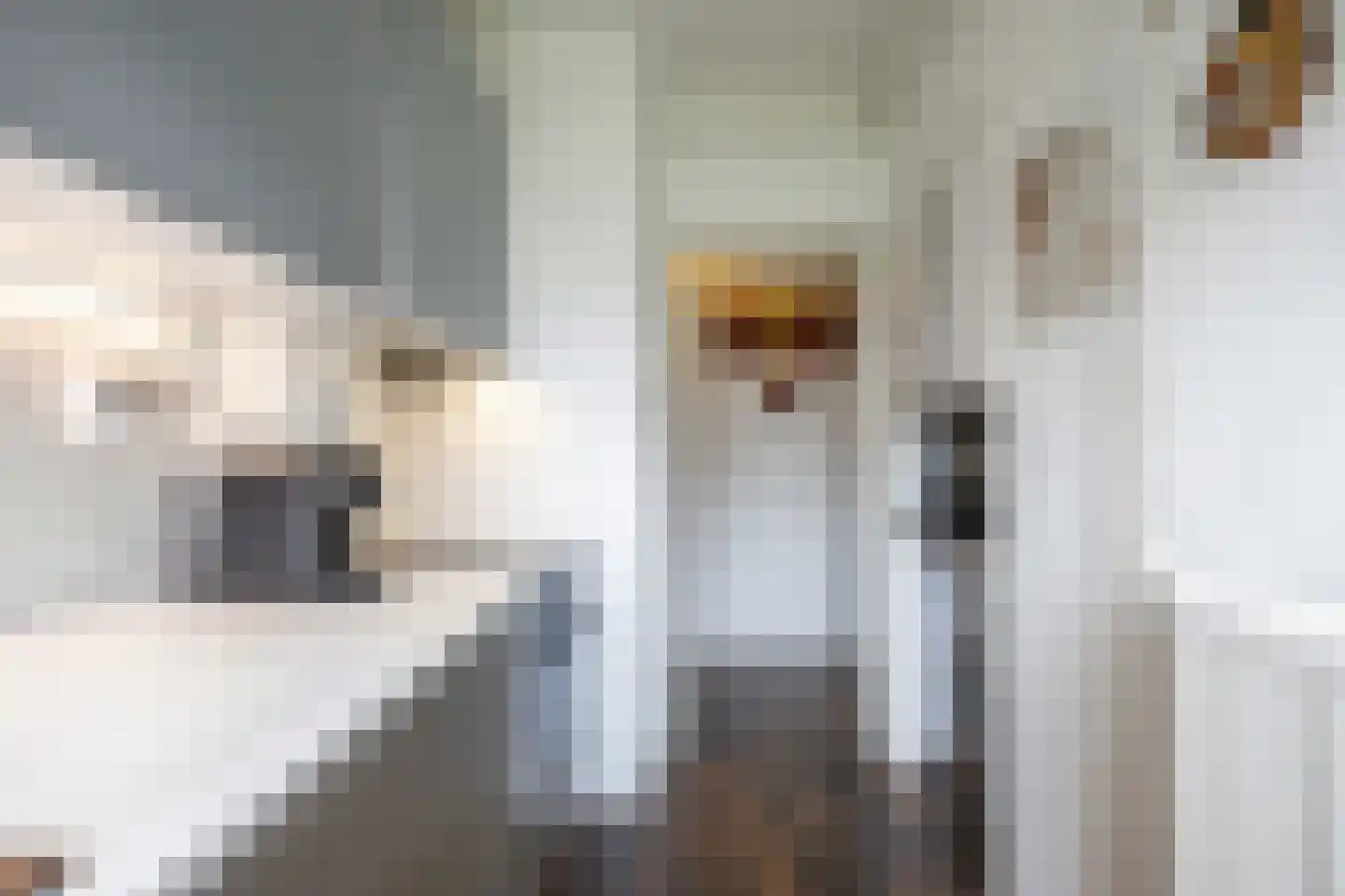Madame Curiestraat 157 Groningen thumbnail 17