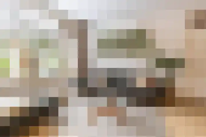Madame Curiestraat 16 Groningen thumbnail 12