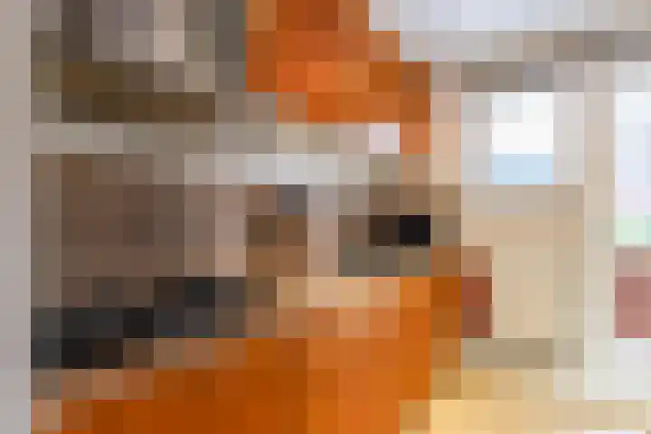 Madame Curiestraat 16 Groningen thumbnail 17
