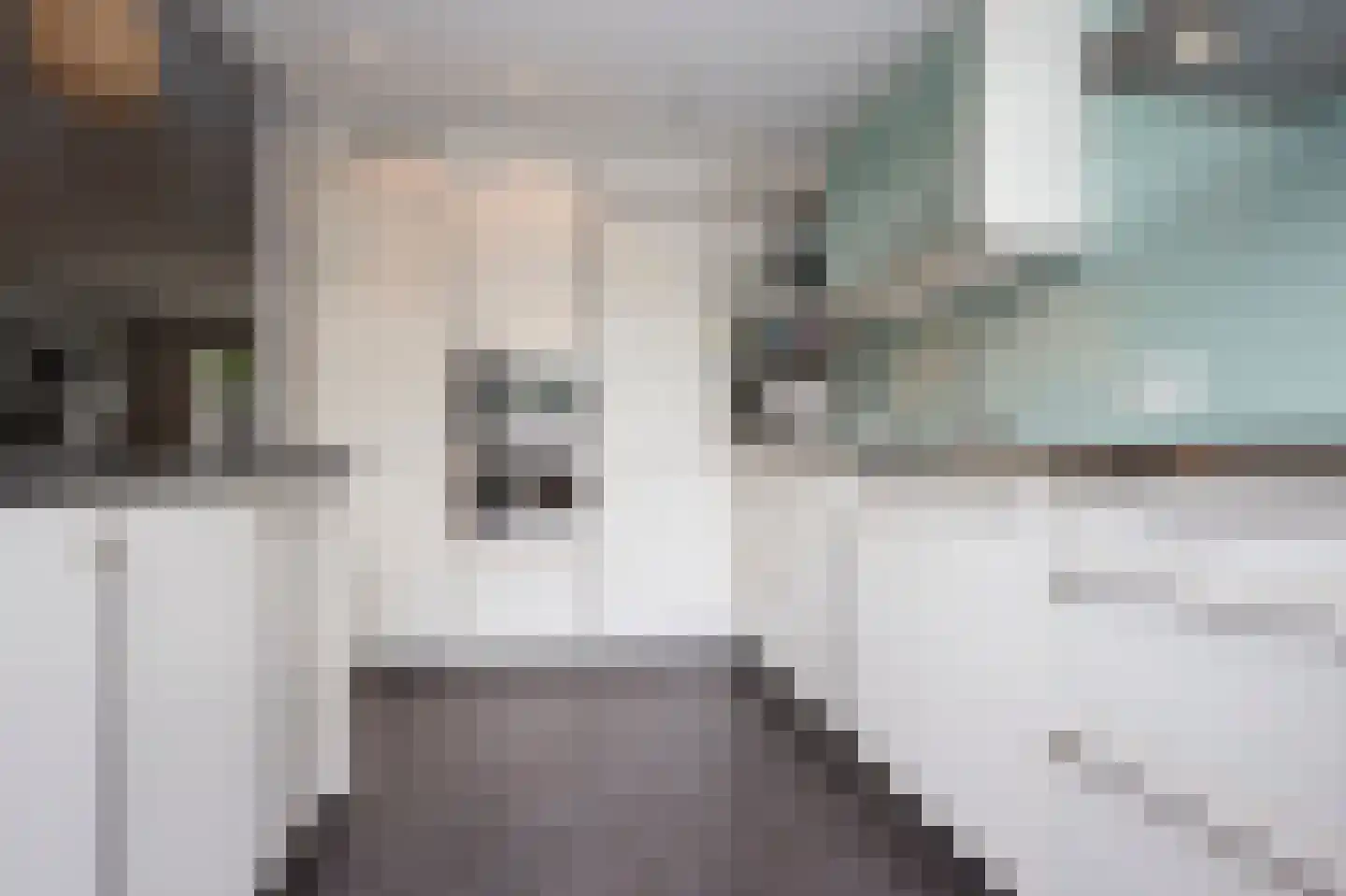 Madame Curiestraat 16 Terneuzen thumbnail 5