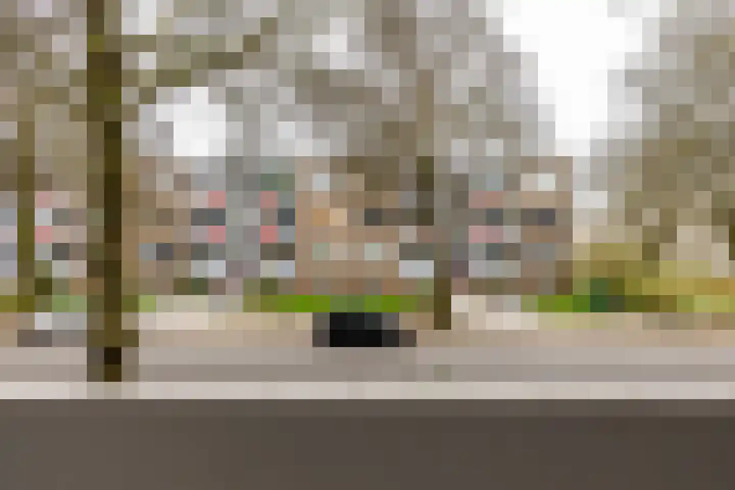 Madame Curiestraat 169 Groningen thumbnail 36