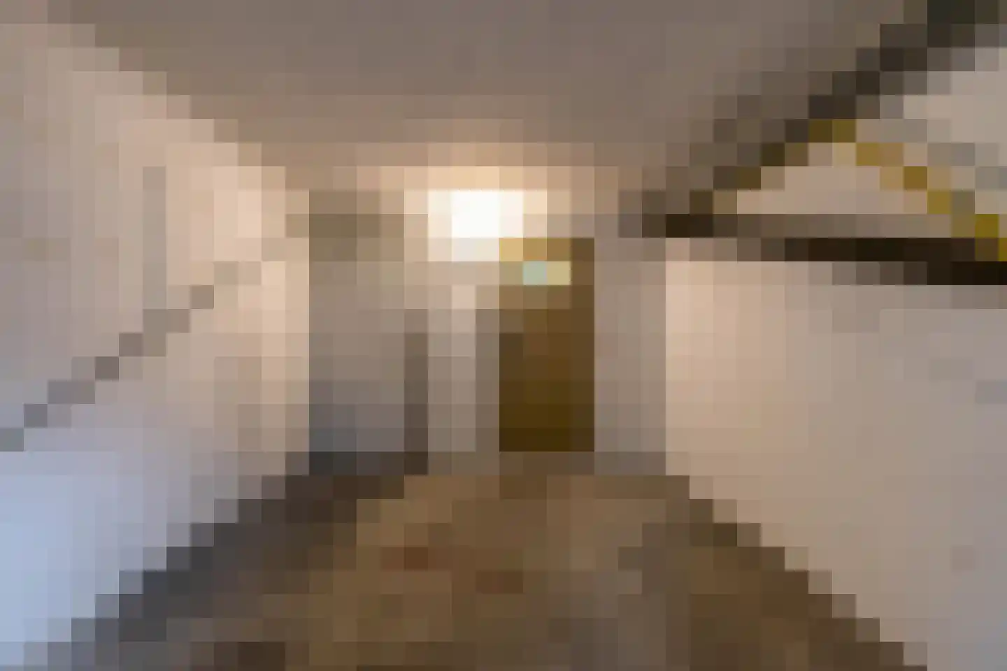 Madame Curiestraat 169 Groningen thumbnail 39