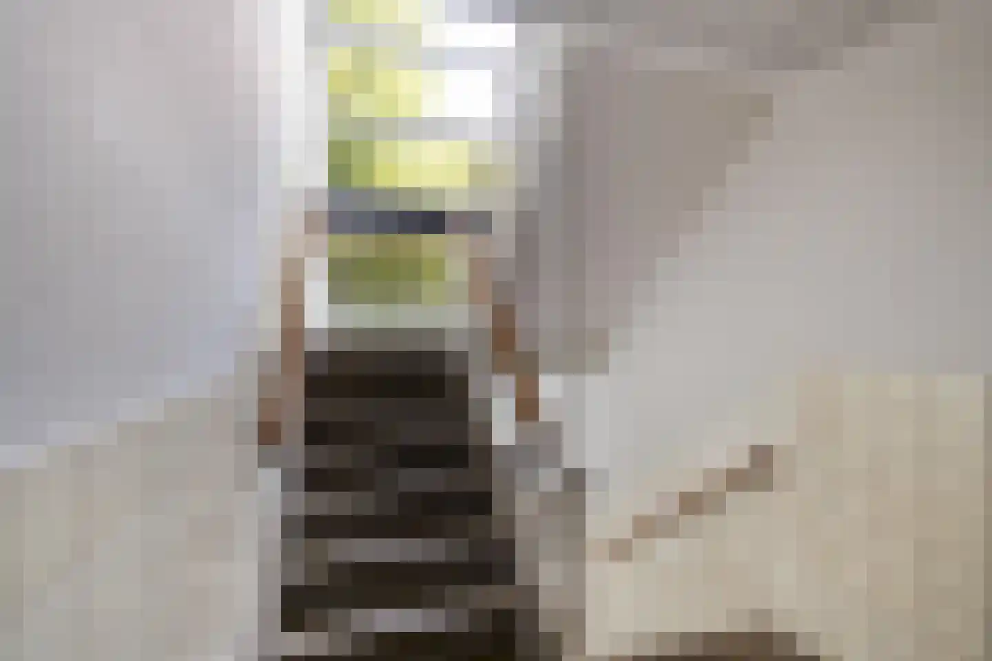 Madame Curiestraat 175 Groningen thumbnail 5