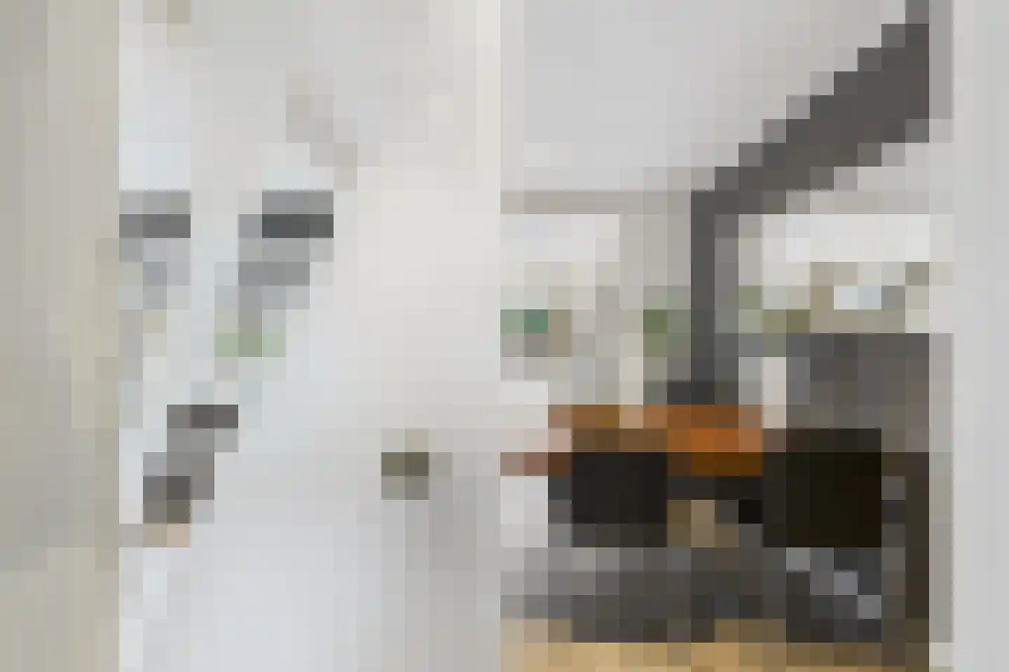 Madame Curiestraat 19 Terneuzen thumbnail 10