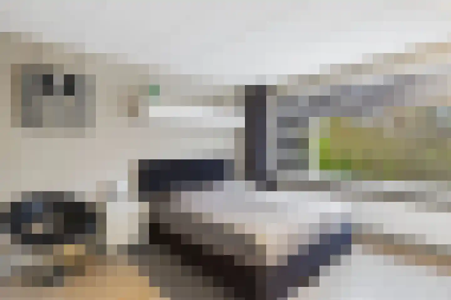 Madame Curiestraat 19 Terneuzen thumbnail 24