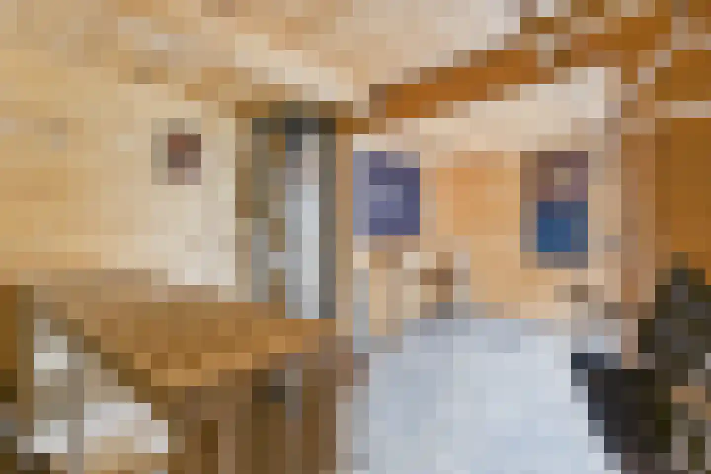 Madame Curiestraat 19 Terneuzen thumbnail 41