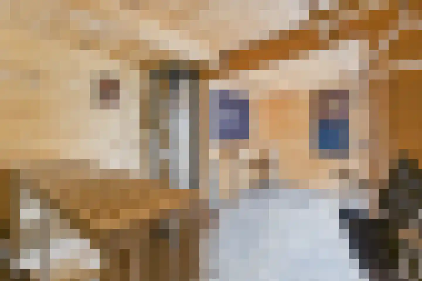 Madame Curiestraat 19 Terneuzen thumbnail 5