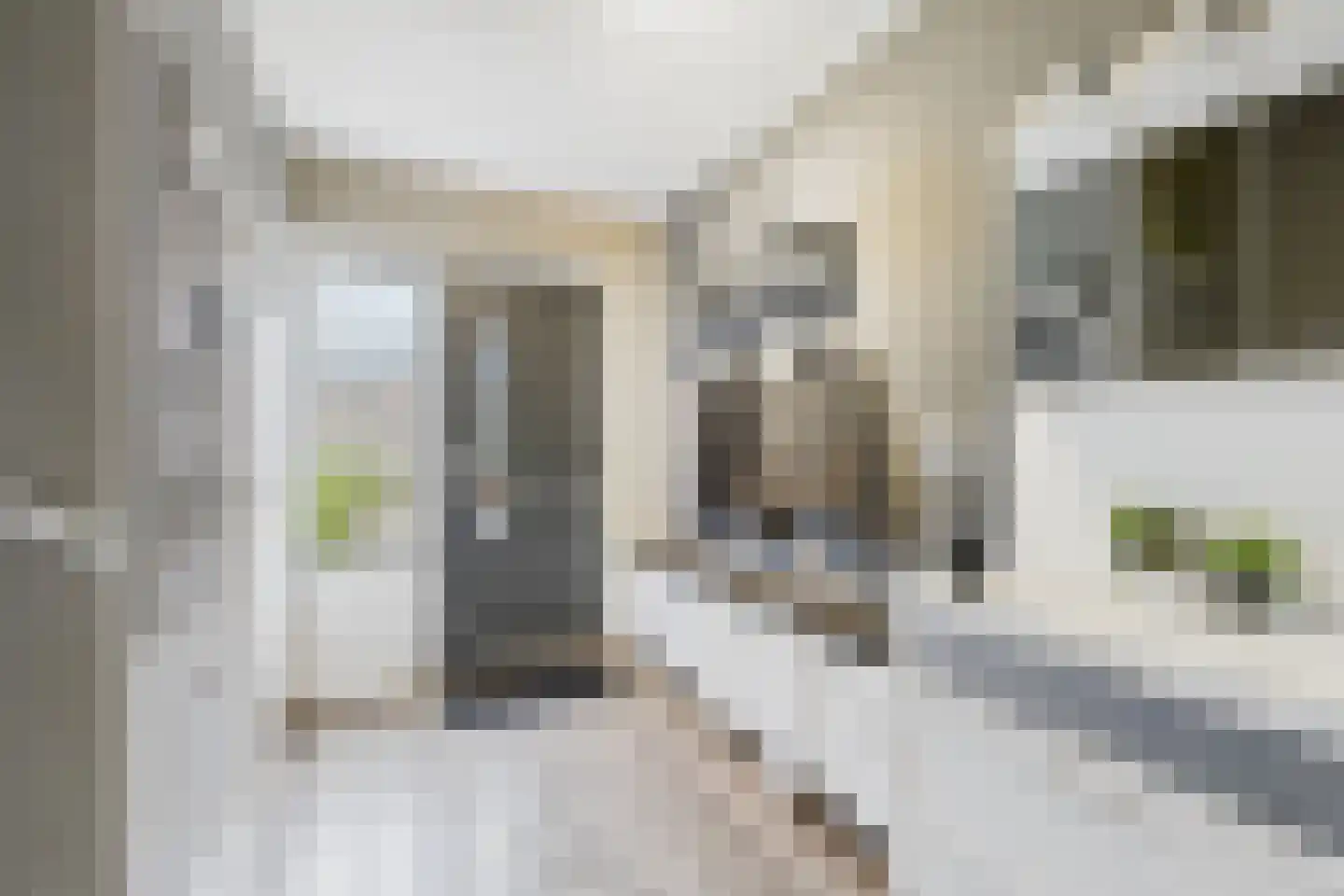 Madame Curiestraat 19 Terneuzen thumbnail 8
