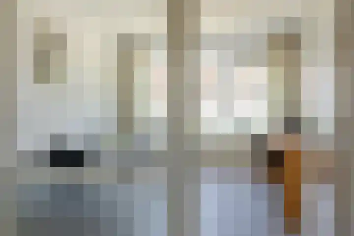 Madame Curiestraat 195 Groningen thumbnail 12