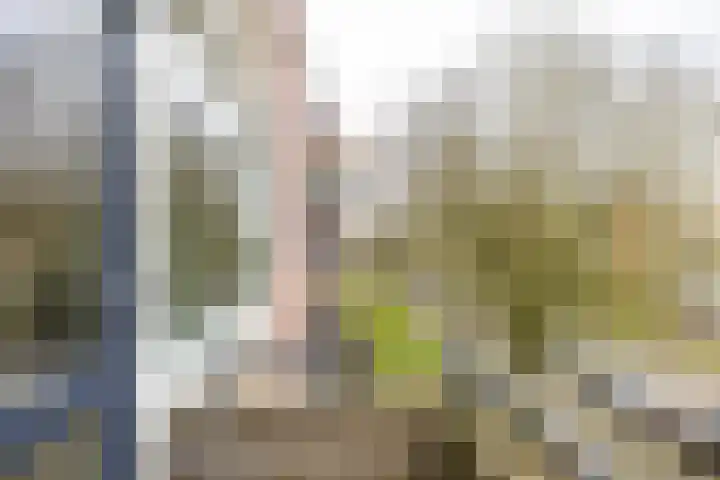 Madame Curiestraat 20 Groningen thumbnail 27
