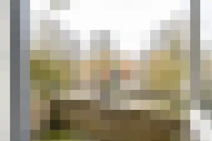 Madame Curiestraat 20 Groningen thumbnail 28