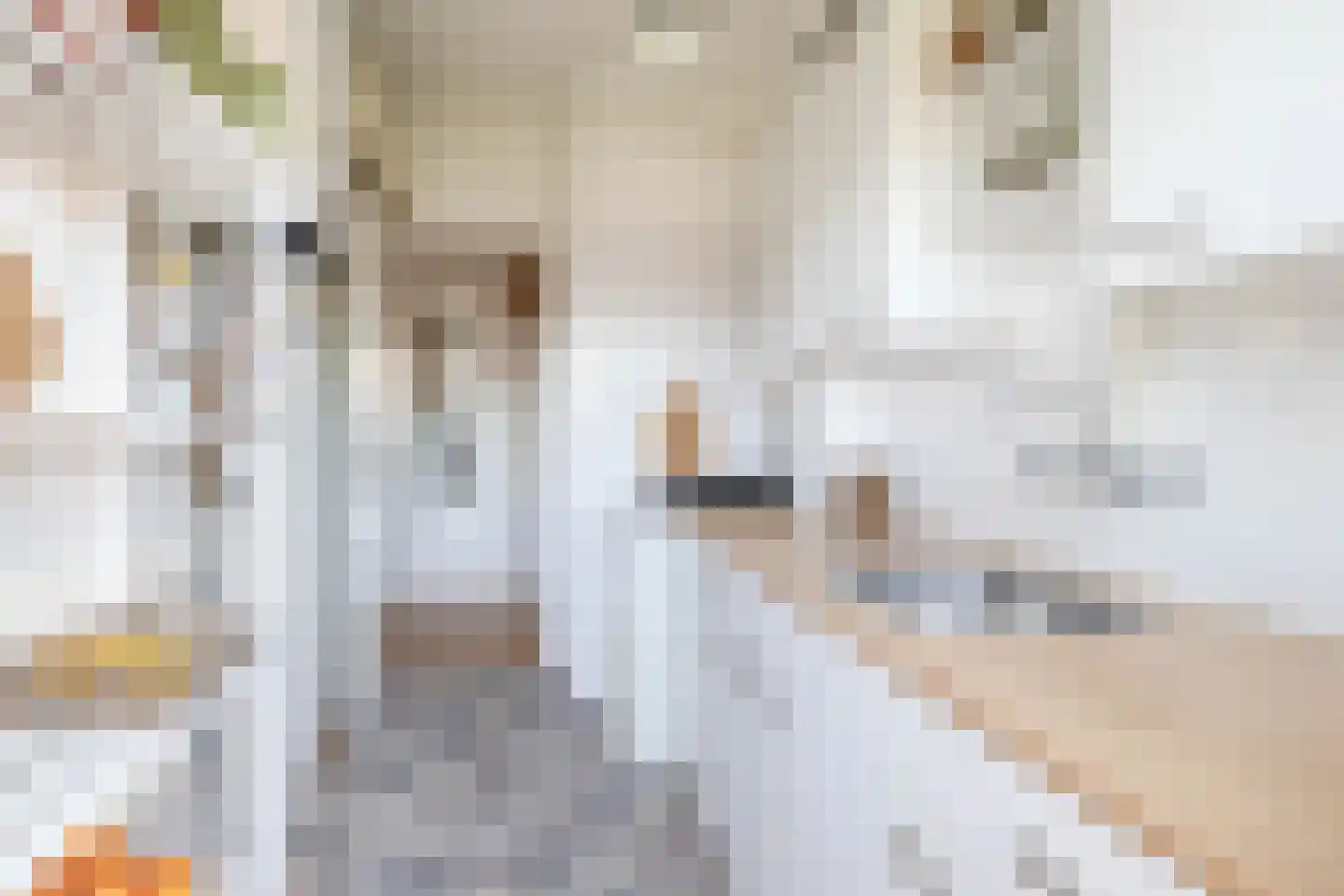 Madame Curiestraat 215 Groningen thumbnail 23
