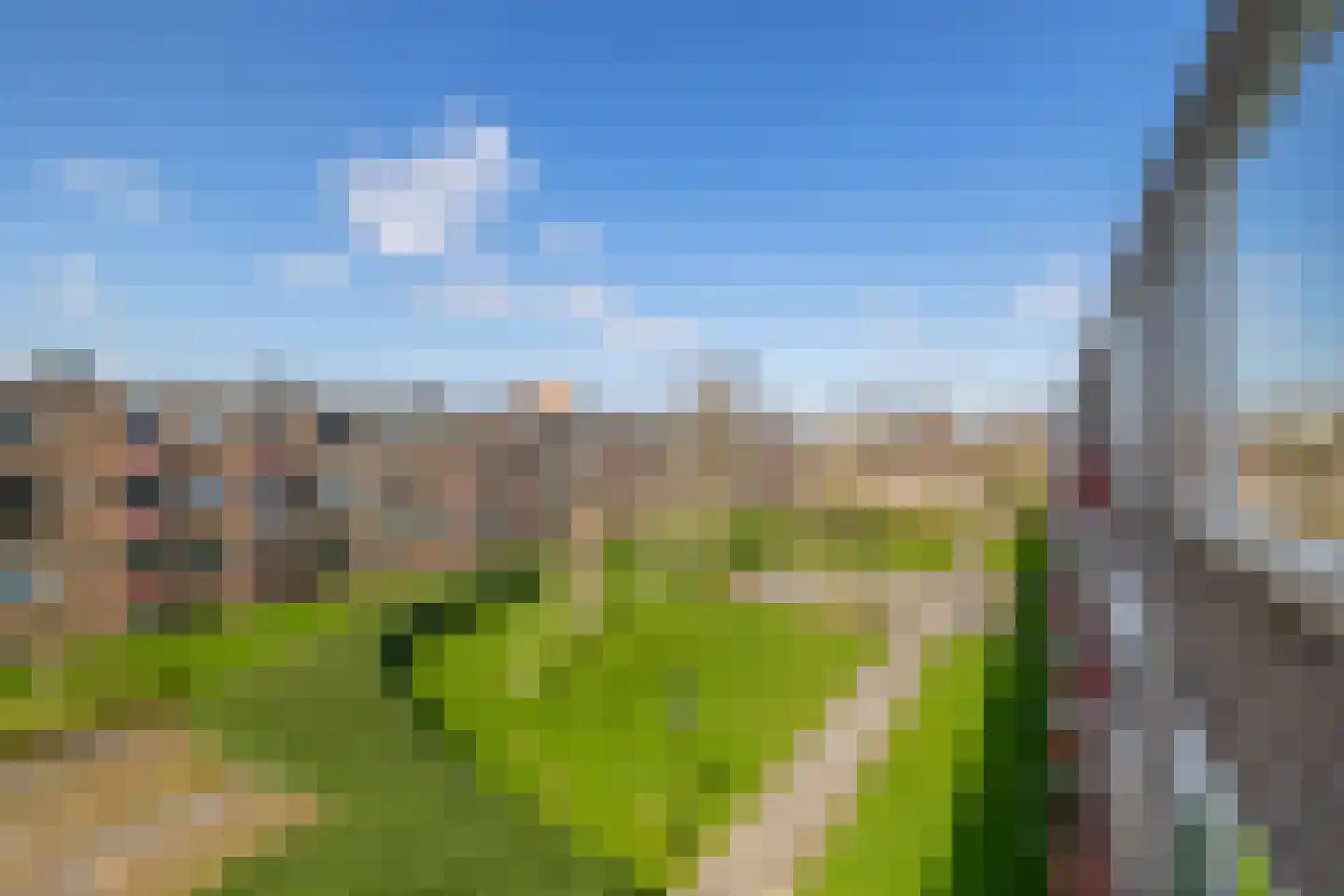 Madame Curiestraat 215 Groningen thumbnail 4