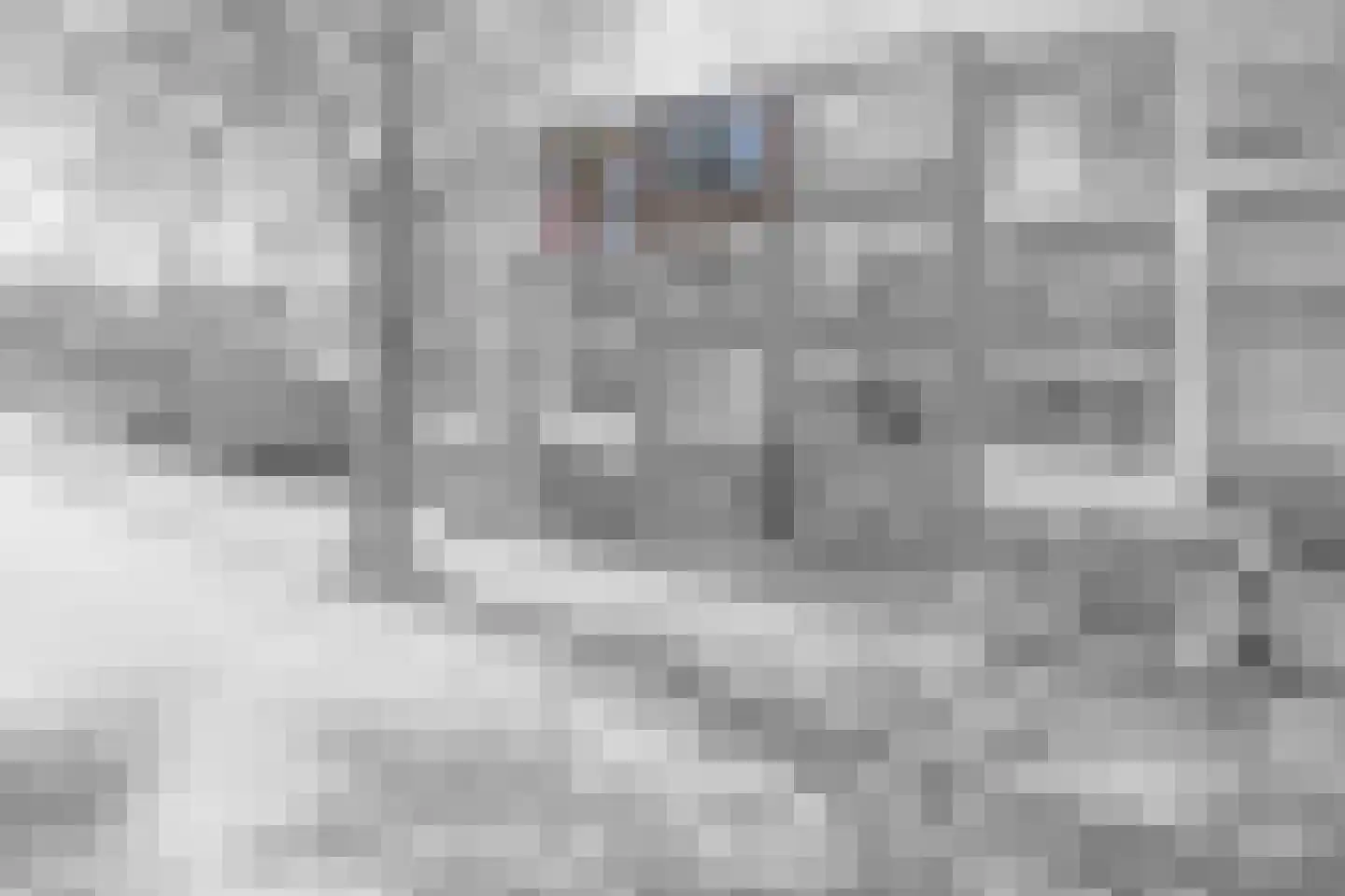 Madame Curiestraat 215 Groningen thumbnail 6