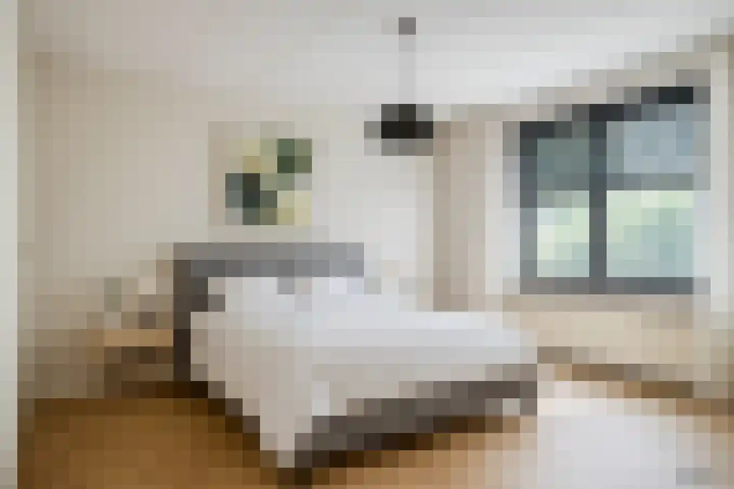 Madame Curiestraat 23 Terneuzen thumbnail 15