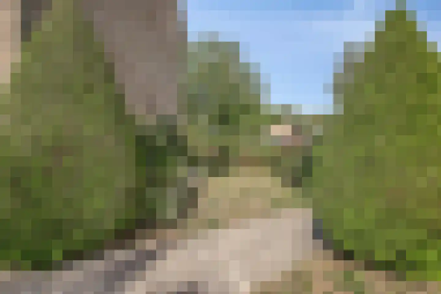 Madame Curiestraat 23 Terneuzen thumbnail 30