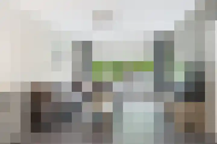 Madame Curiestraat 28 Terneuzen thumbnail 11