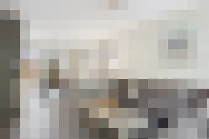 Madame Curiestraat 28 Terneuzen thumbnail 13