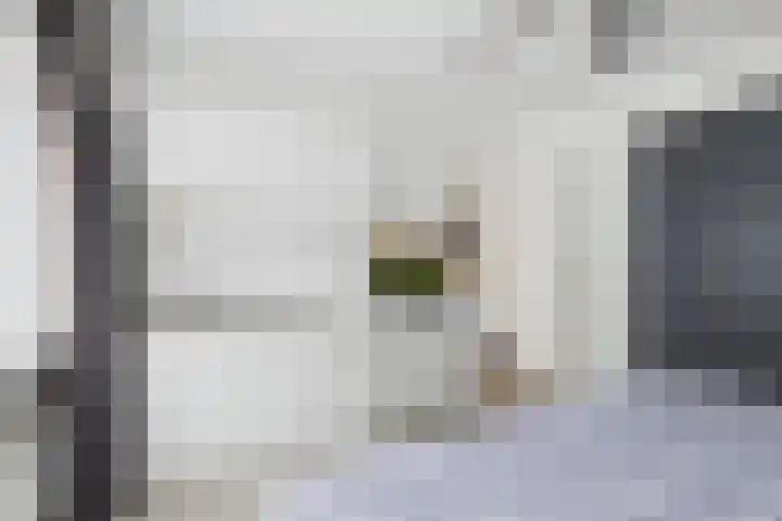 Madame Curiestraat 28 Terneuzen thumbnail 28