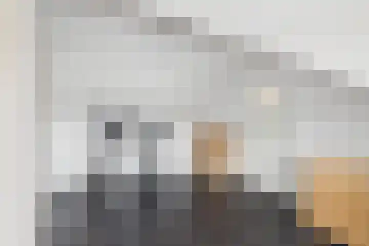 Madame Curiestraat 28 Terneuzen thumbnail 35