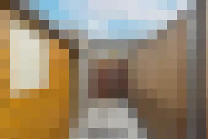Madame Curiestraat 28 Terneuzen thumbnail 39