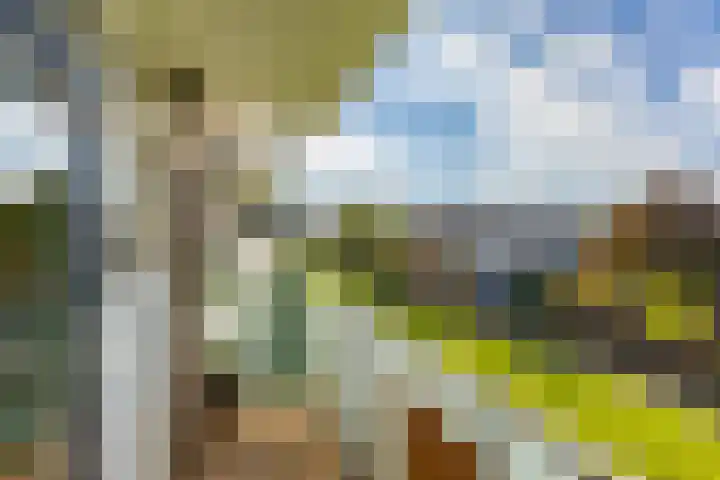 Madame Curiestraat 31 Groningen thumbnail 20