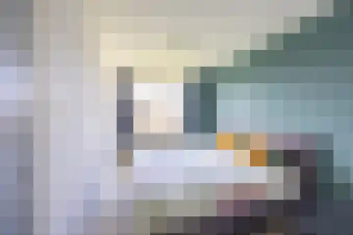 Madame Curiestraat 31 Groningen thumbnail 24
