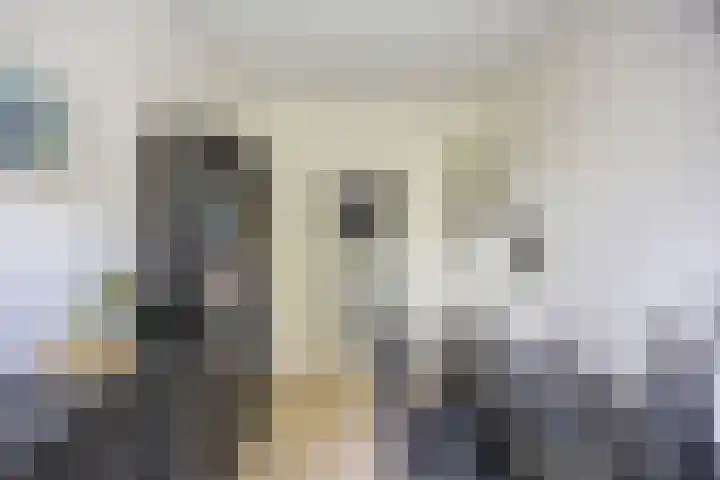 Madame Curiestraat 31 Groningen thumbnail 27