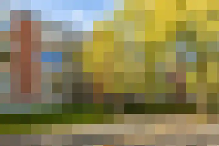 Madame Curiestraat 31 Groningen thumbnail 28