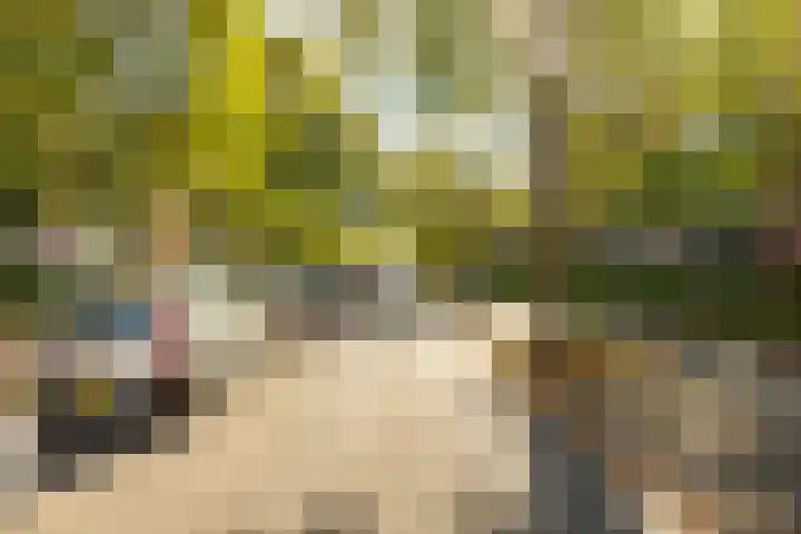 Madame Curiestraat 31 Groningen thumbnail 29