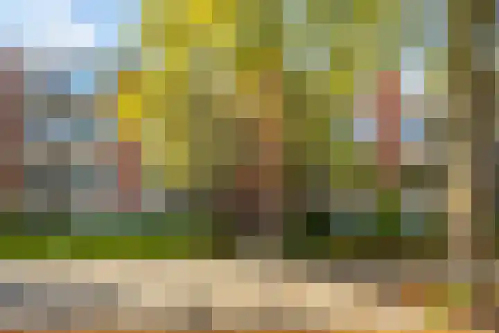 Madame Curiestraat 31 Groningen thumbnail 4