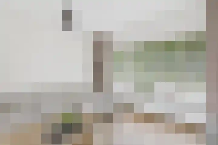 Madame Curiestraat 36 Terneuzen thumbnail 12