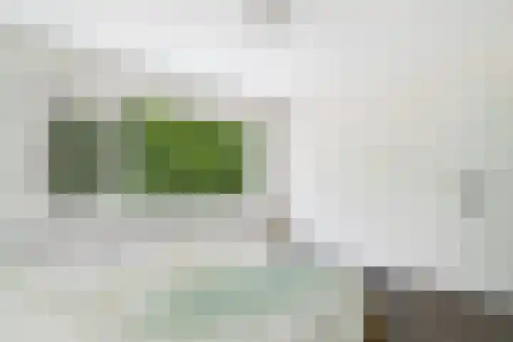 Madame Curiestraat 36 Terneuzen thumbnail 29