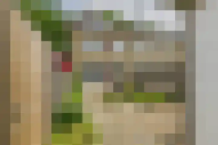 Madame Curiestraat 36 Terneuzen thumbnail 40