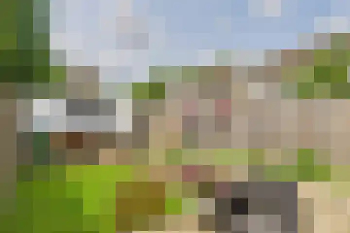 Madame Curiestraat 36 Terneuzen thumbnail 42