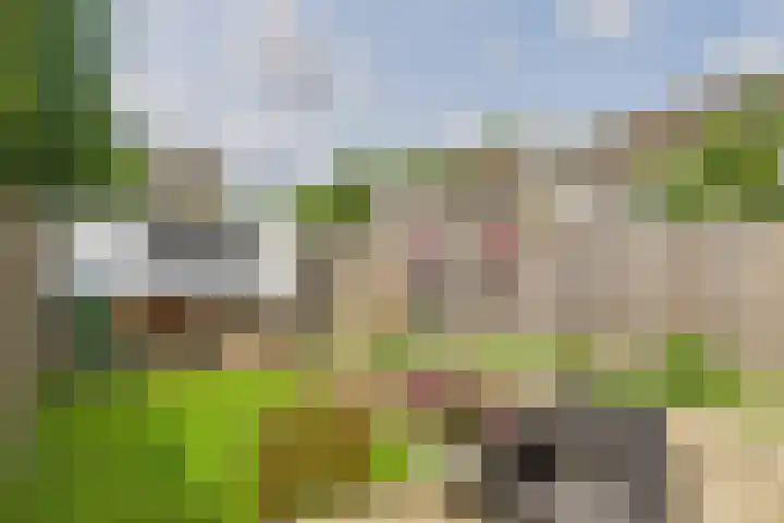 Madame Curiestraat 36 Terneuzen thumbnail 6