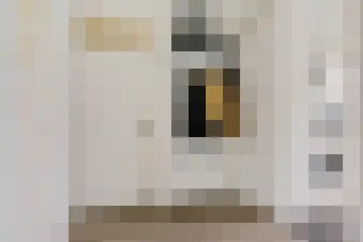 Madame Curiestraat 43 Groningen thumbnail 12