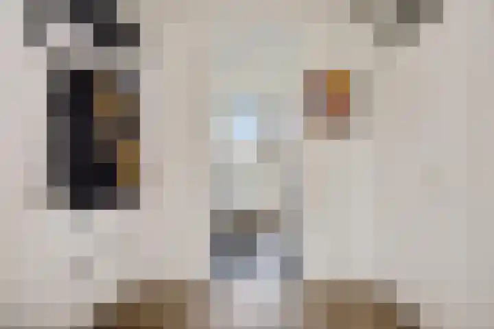 Madame Curiestraat 43 Groningen thumbnail 13