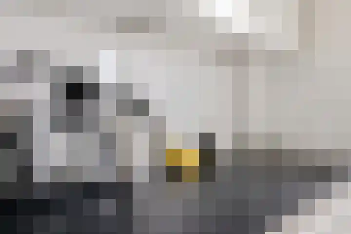 Madame Curiestraat 43 Groningen thumbnail 16