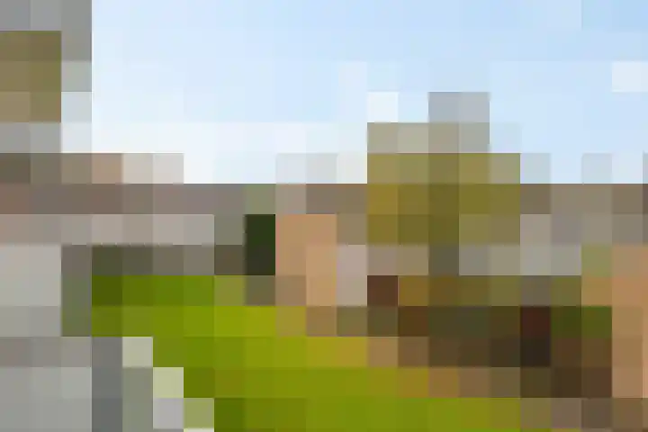 Madame Curiestraat 43 Groningen thumbnail 20