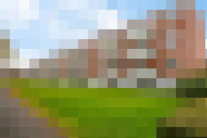 Madame Curiestraat 43 Groningen thumbnail 37