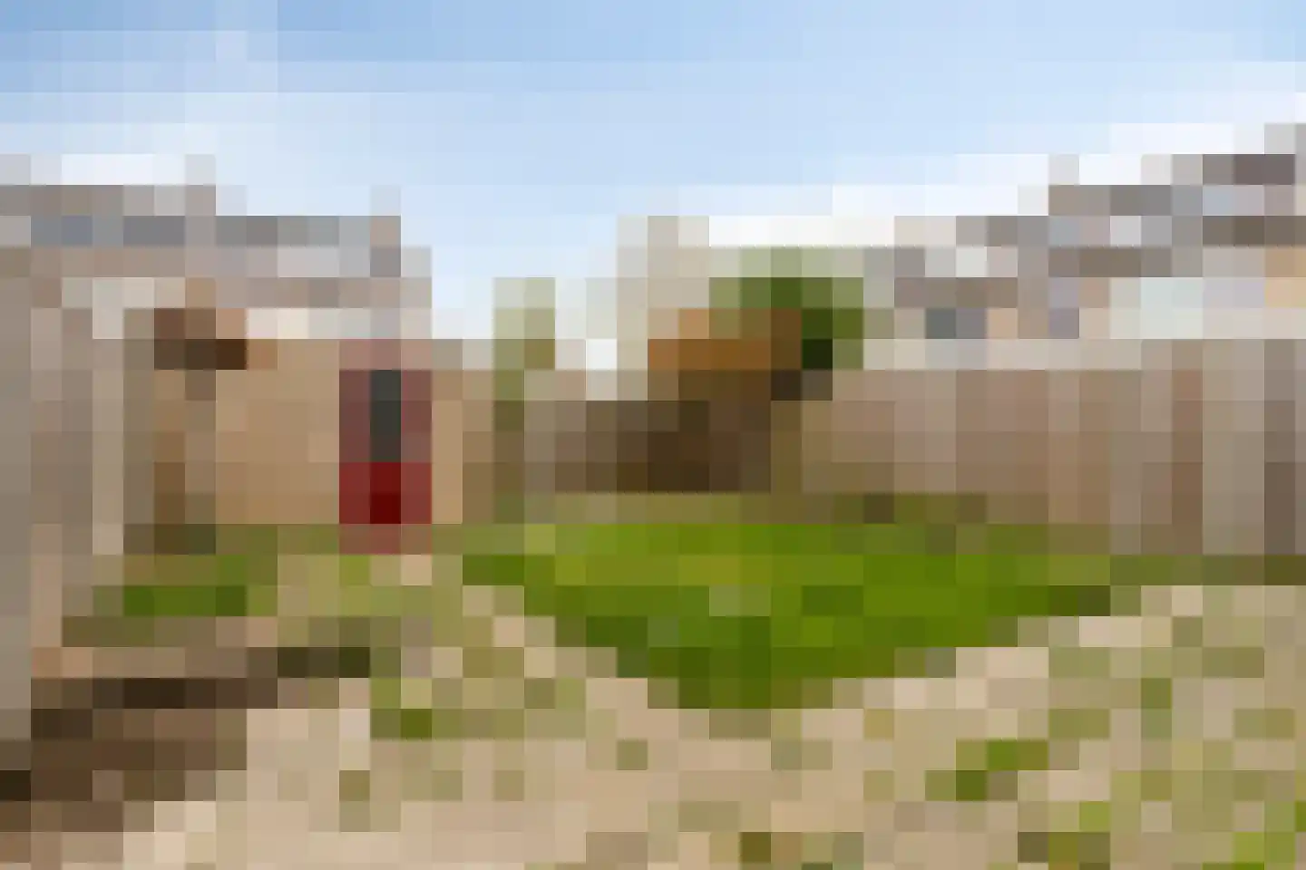 Madame Curiestraat 55 Terneuzen thumbnail 24