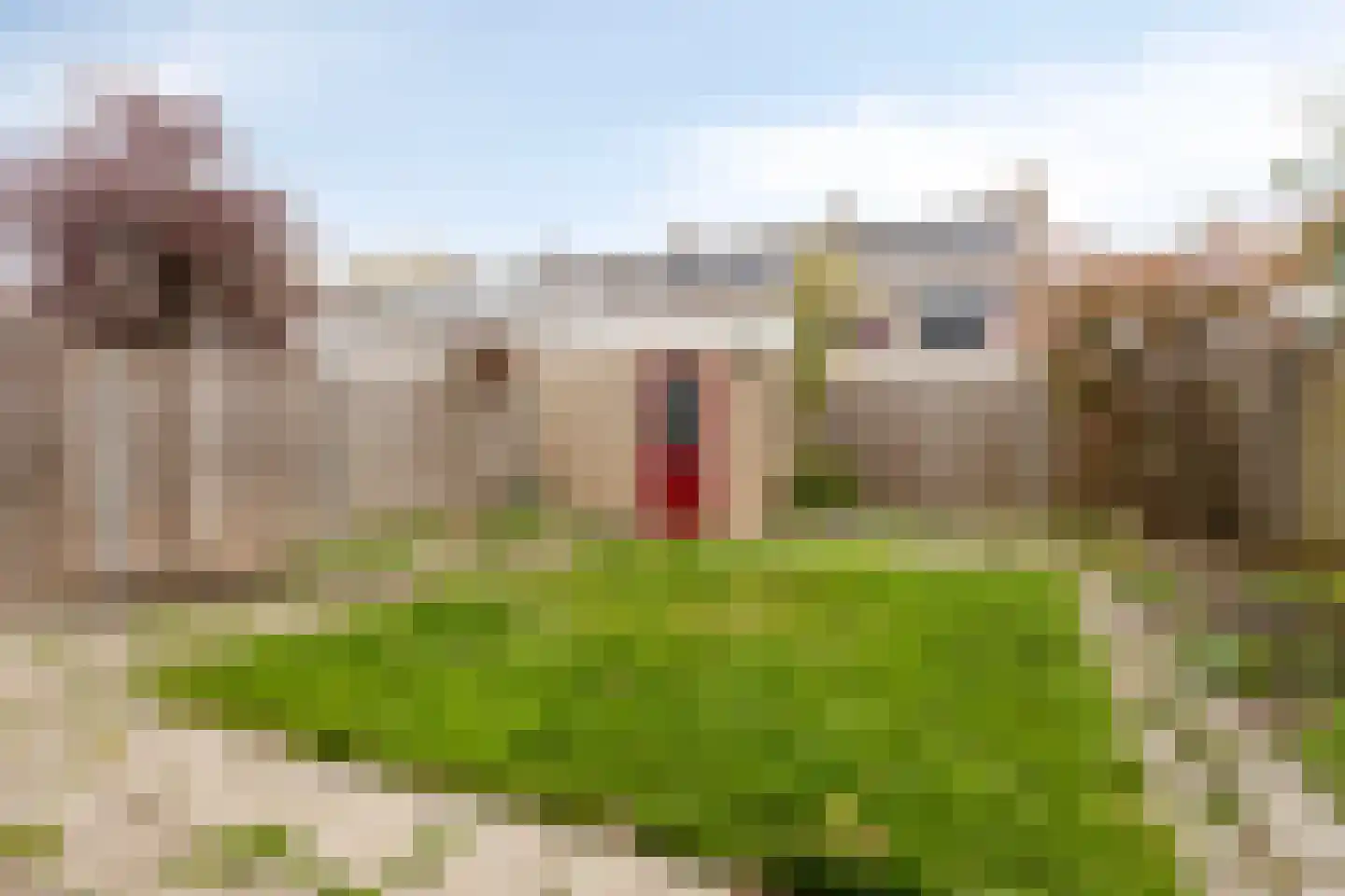 Madame Curiestraat 55 Terneuzen thumbnail 25