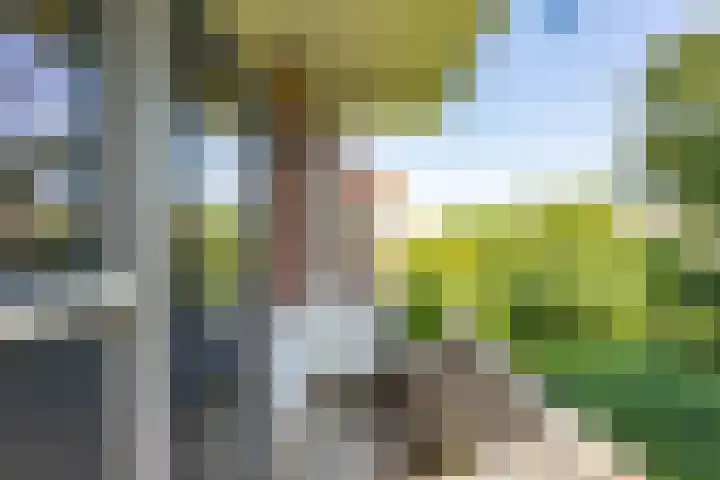 Madame Curiestraat 66 Groningen thumbnail 17