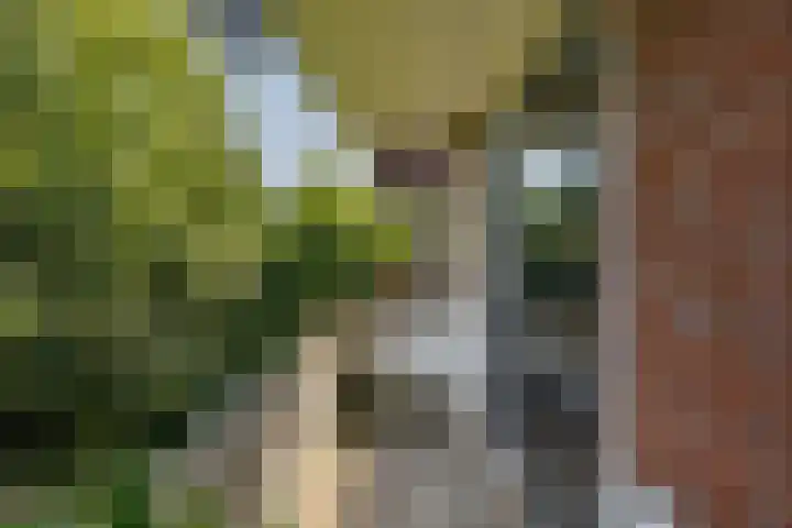 Madame Curiestraat 66 Groningen thumbnail 18