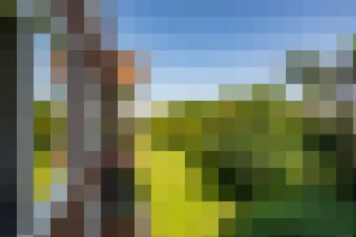 Madame Curiestraat 66 Groningen thumbnail 26