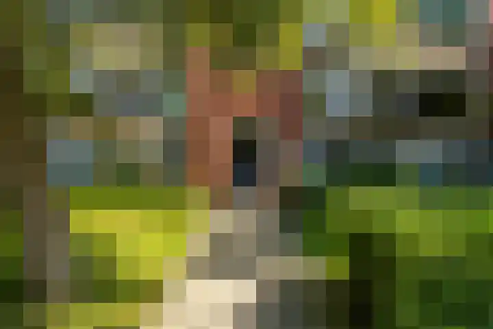 Madame Curiestraat 66 Groningen thumbnail 4