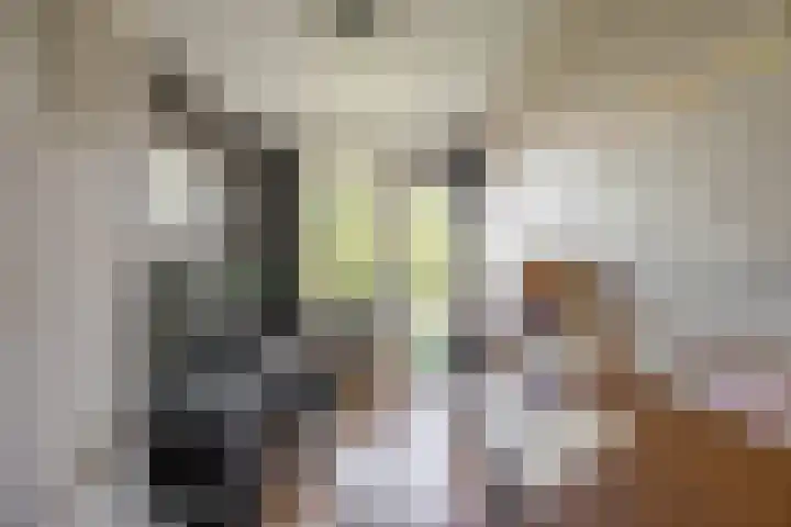 Madame Curiestraat 66 Groningen thumbnail 8