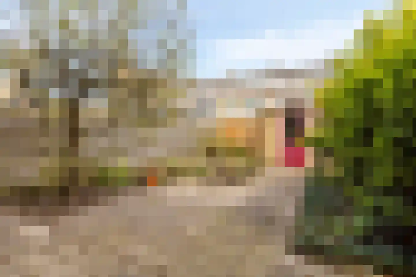 Madame Curiestraat 73 Terneuzen thumbnail 30