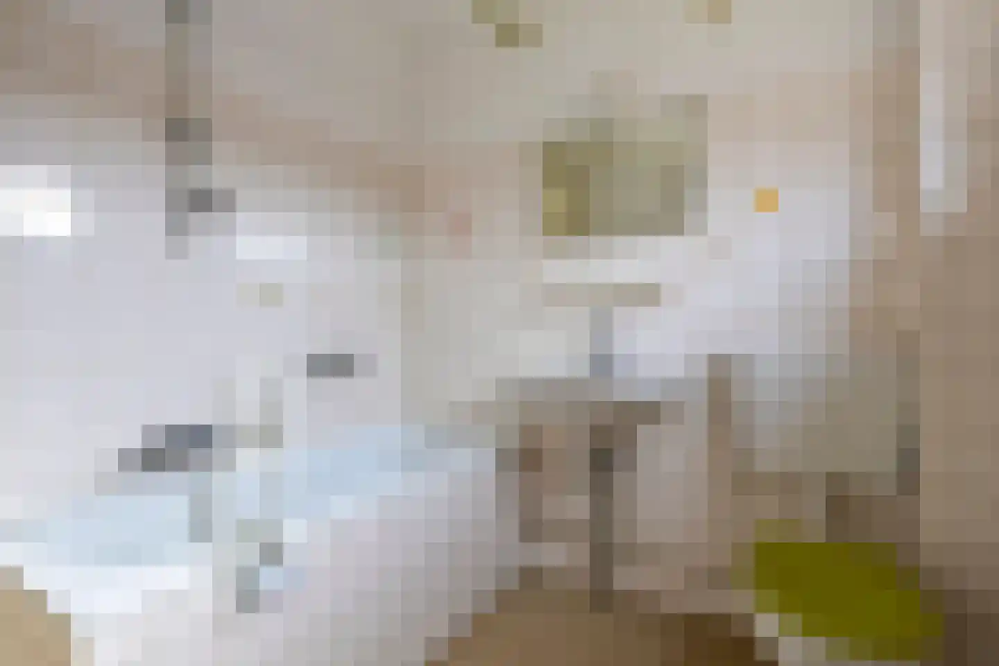 Madame Curiestraat 73 Terneuzen thumbnail 6